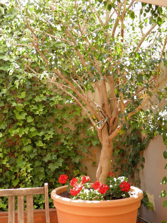 Suitur Courtyard Apartment Barcellona Esterno foto
